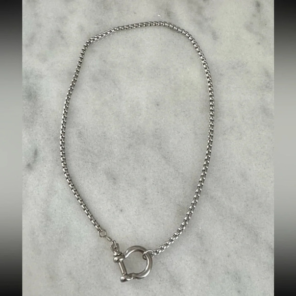 COPY - COPY - Silver Chunky Horse Bit Chain Necklace
Brand New - Picture 2 of 5